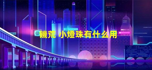 饑荒 小燈珠有什么用